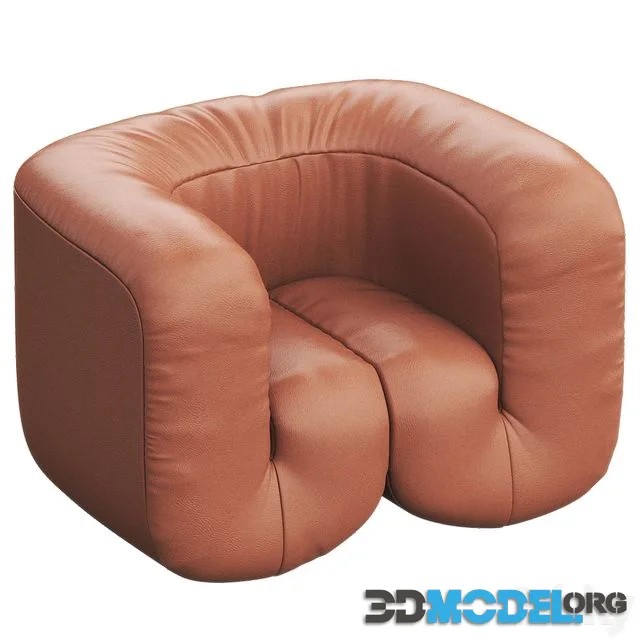 DS-707 Leather armchair By de Sede