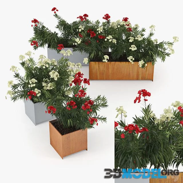 Flowerbed Nerium Planterworx - RANCH, TRUE SQUARE