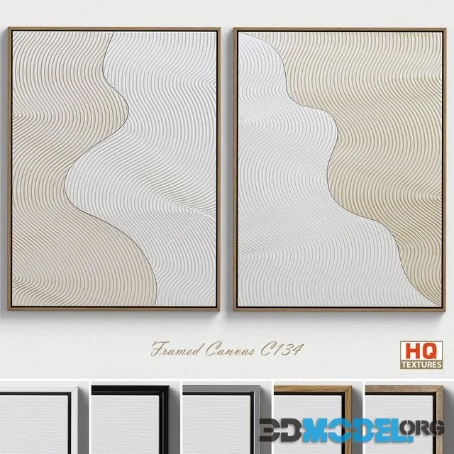 Framed Canvas C-134