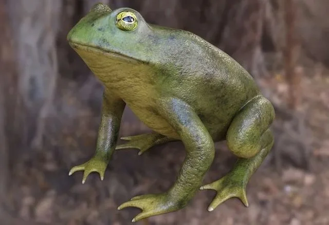 Frog (PBR)
