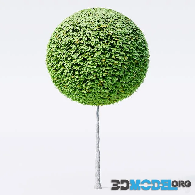 Geometric Topiary trees