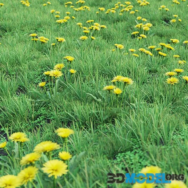 Grass set 01 – Dandelion