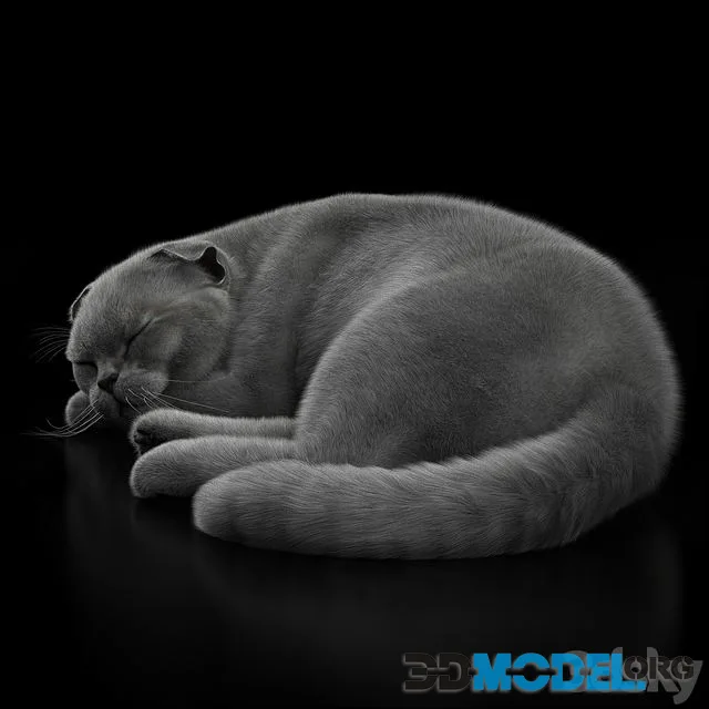 Grey sleeping Cat