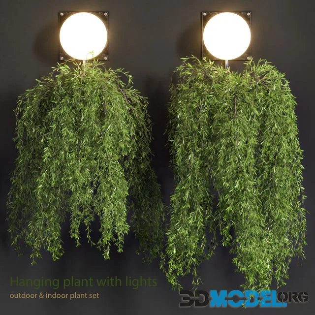 Hanging Plant with Lights