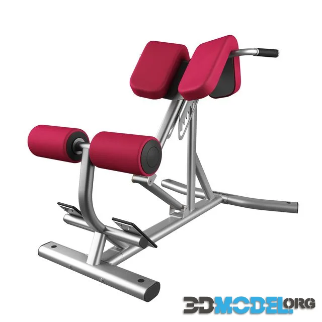 Lifefitness Signature Series Back Extension