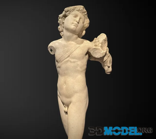Michelangelo Cupid (PBR)