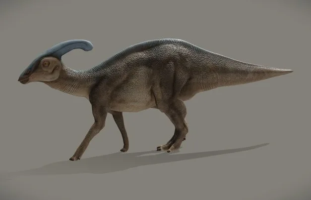 Parasaurolophus Walkeri