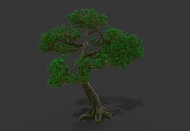 Pine tree low-poly (PBR)