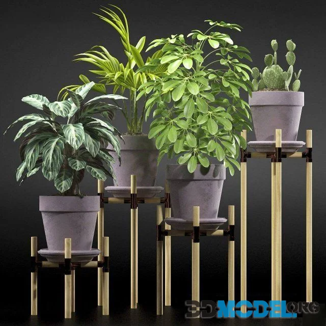 PLANTS 106 1