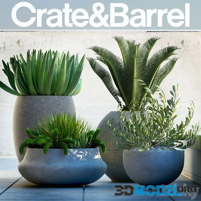 PLANTS 78 crate&barrel