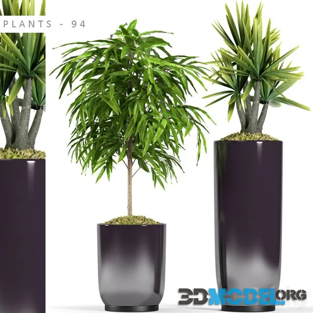 PLANTS 94