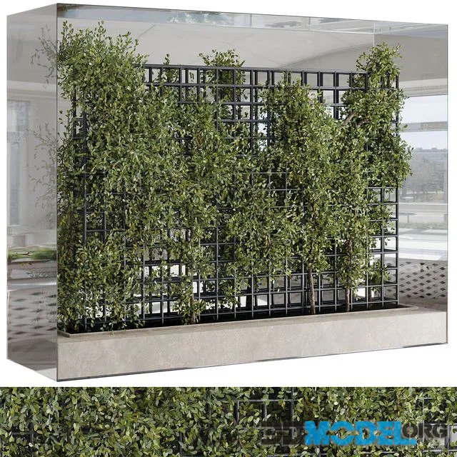 Plants Set Partition In Behind Glass - Ivy Garden Wall Decor Set 116