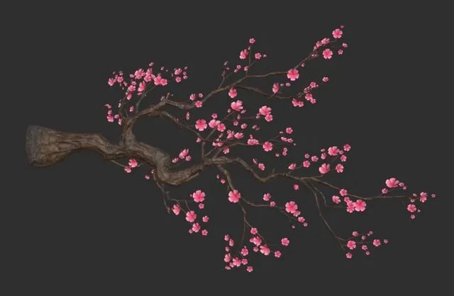 Plum Blossom (PBR)