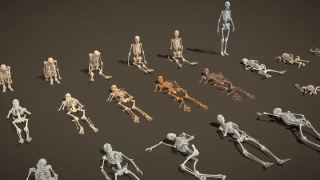 Props Pack Human Skeleton