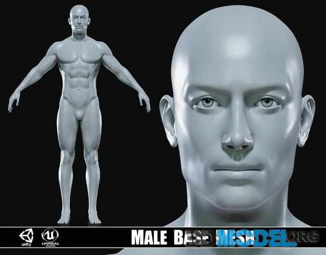 Realistic Athletic Man Body Base Mesh Low-poly (PBR)