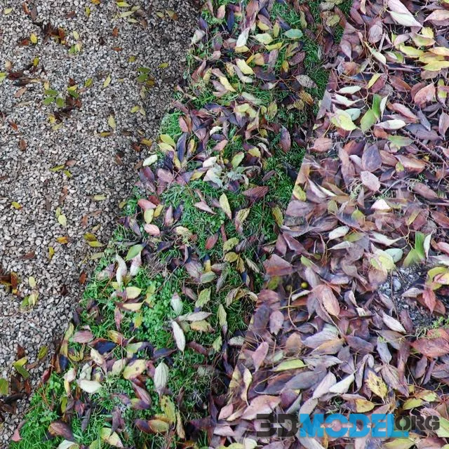 Small Ground Pack II