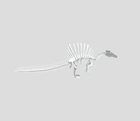 Spinosaurus Skeleton