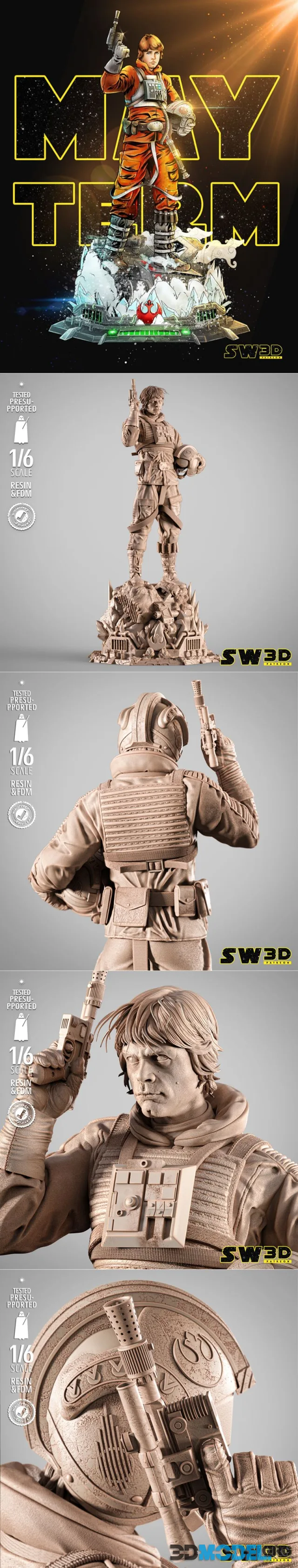 SW3D - Luke Pilot Sculpture – Printable