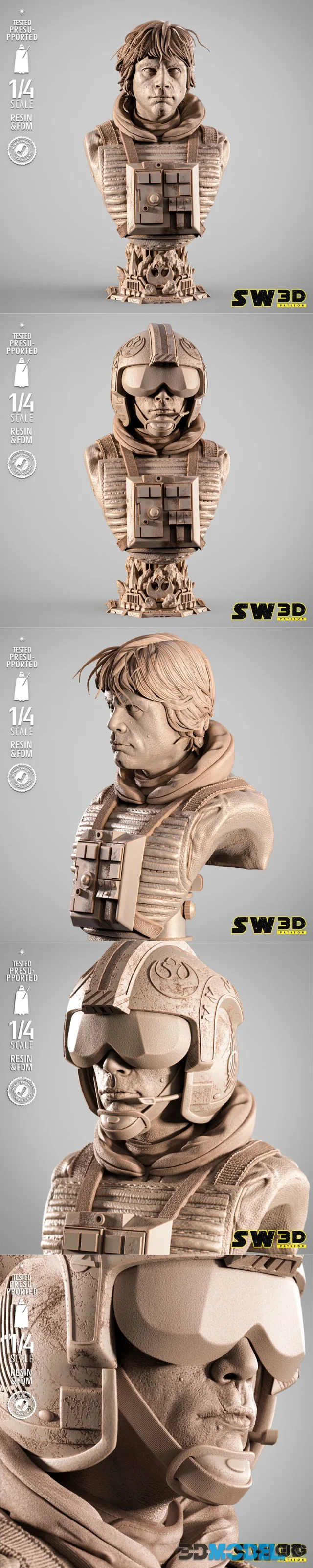 SW3D - Luke Pilot Portrait Bust – Printable