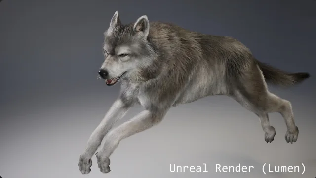 Animal Wolf (Fur-Groom)