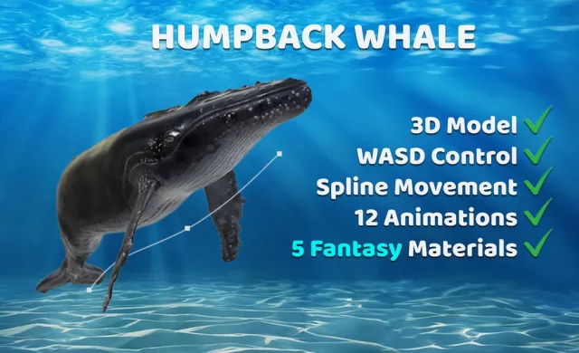 Animated Humpback Whale