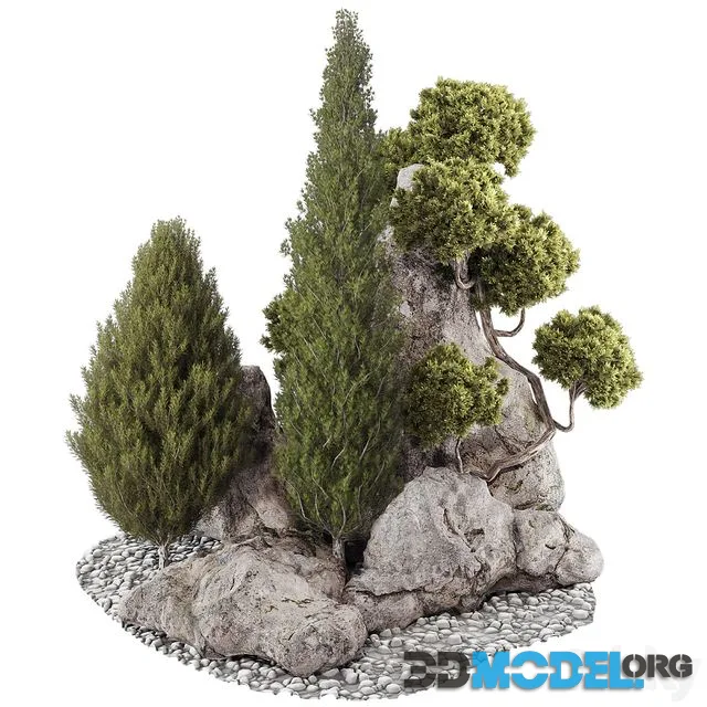 backyard and landscape pine tree garden and rocks 269