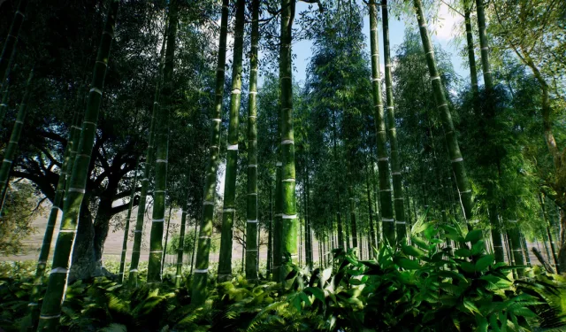 Bamboo Asian forest