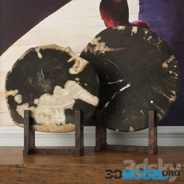 Black Petrified Wood Slices