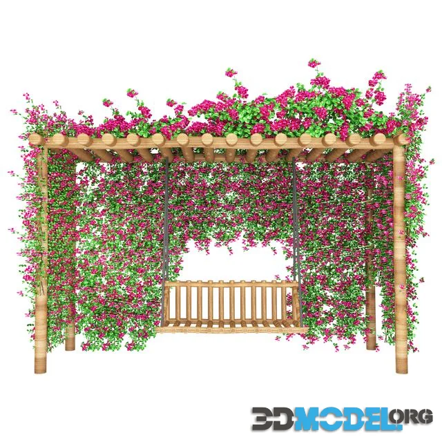 bougainvillea garden