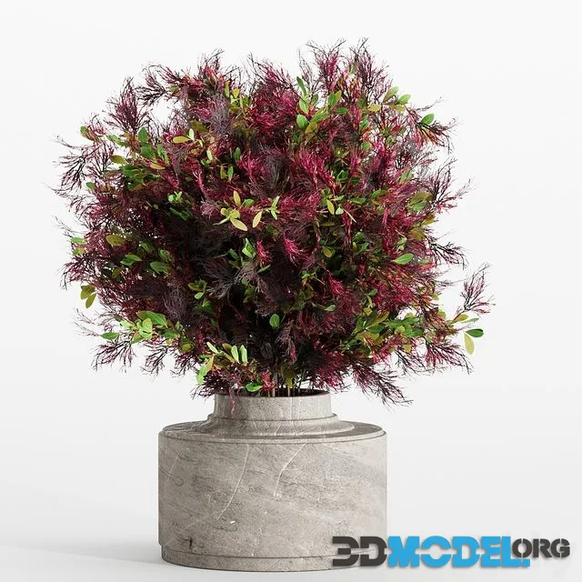 Bouquet 7