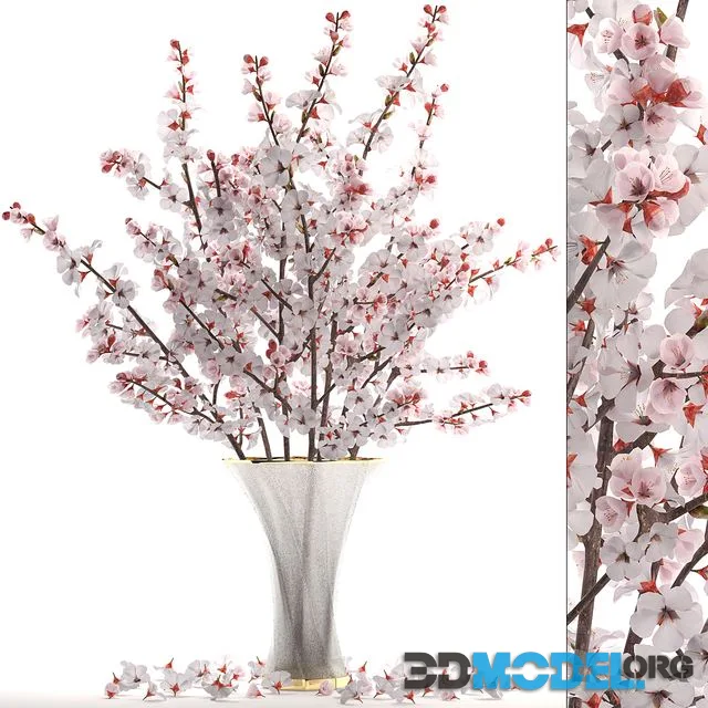 Bouquet of white flowers 24.Bouquet of cherry blossoms