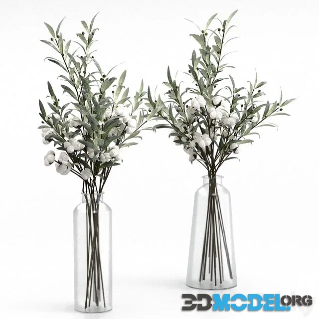 Bouquets of olives and cotton