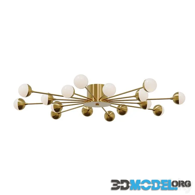 Celebrity Ceiling Light