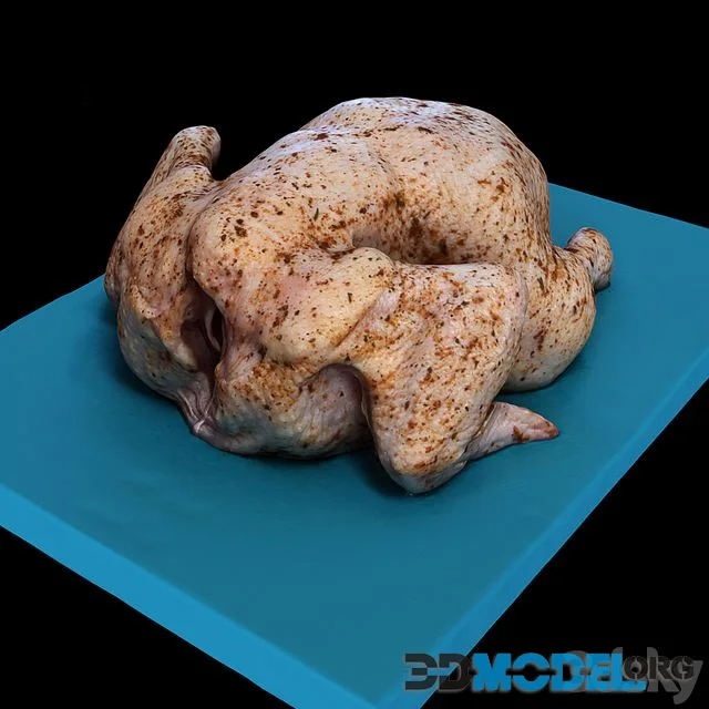 Chicken Hen