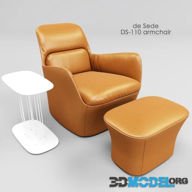 de Sede DS-110 armchair