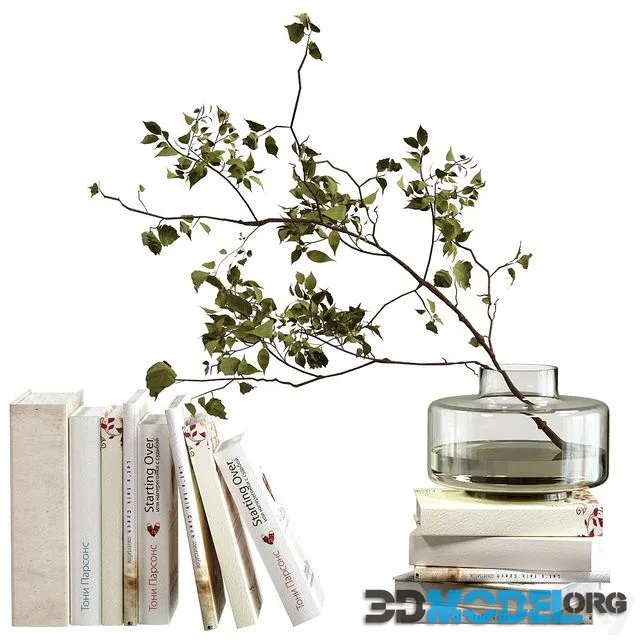 Decorative set with books and plant