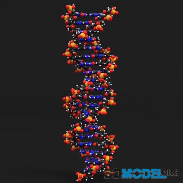 DNA Molecules (PBR)