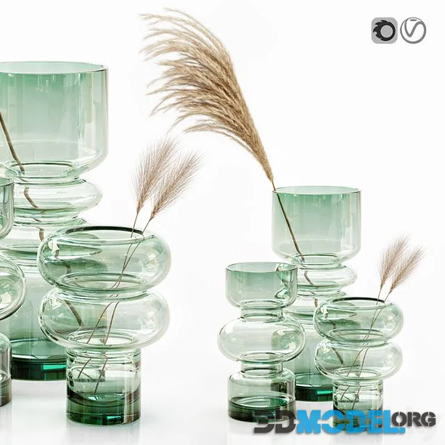 H&M glass vases with dried flower pampas grass