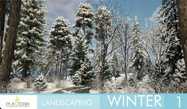 Landscaping Winter 1