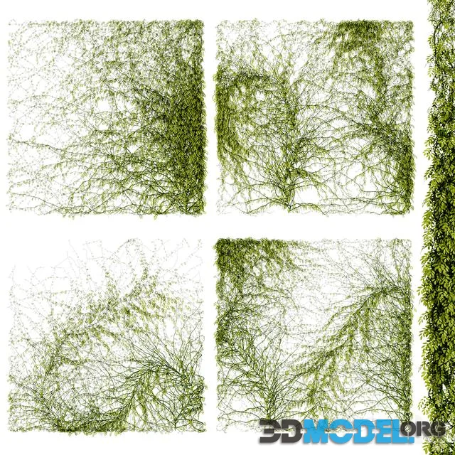 Leaves for walls v4