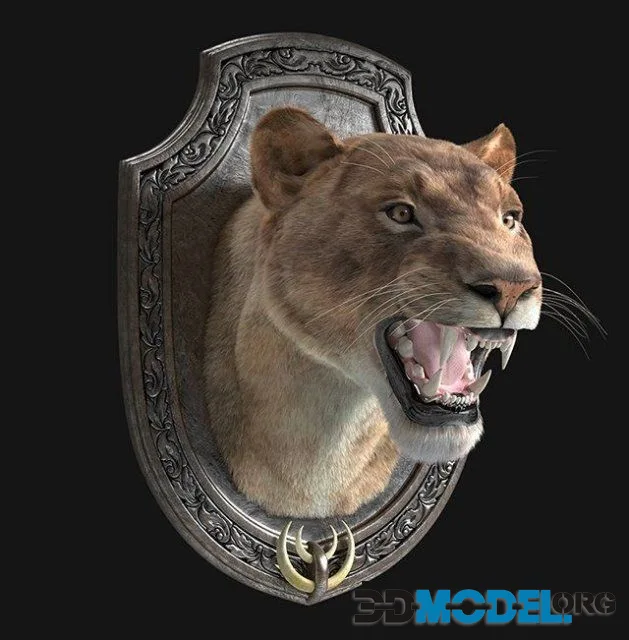 Lion Trophy