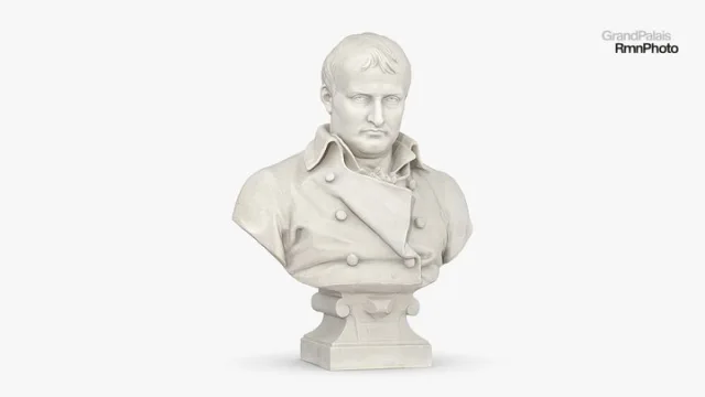 Napoléon En 1820 (PBR)