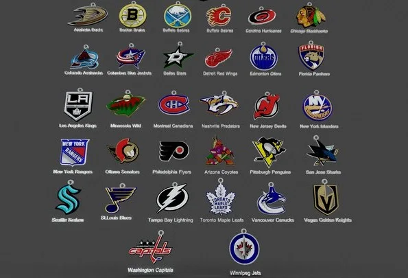 NHL All Teams Printable And Renderable (PBR)
