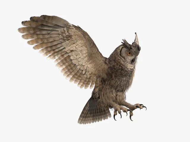 Owl Rigged (PBR)