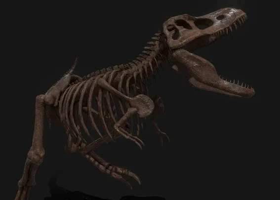 PBR T Rex Skeleton (PBR)