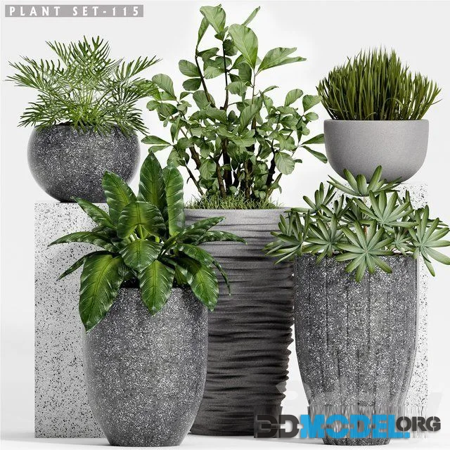 Plant Set 115