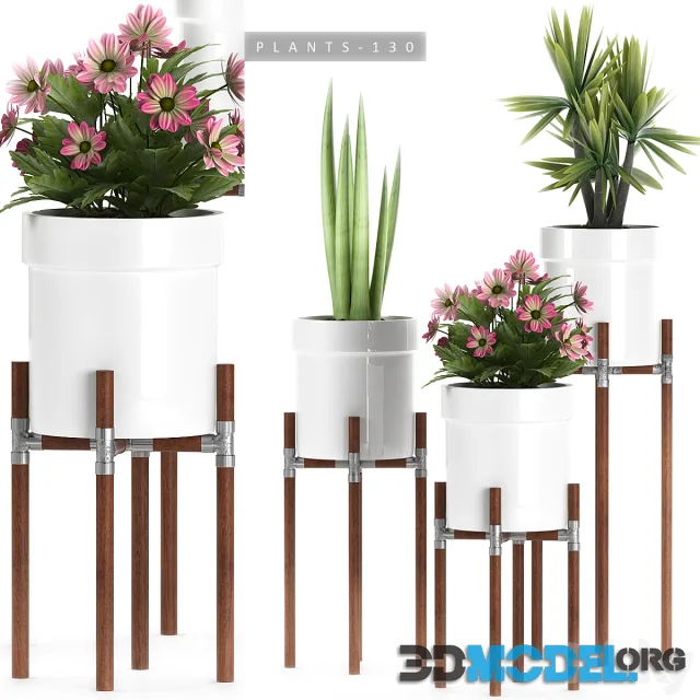 PLANTS 130