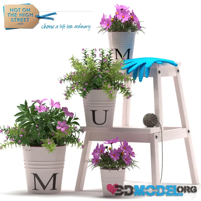 PLANTS 41
