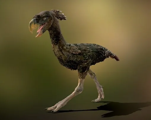 Terror Bird NHMW Optimized OBJ (PBR)