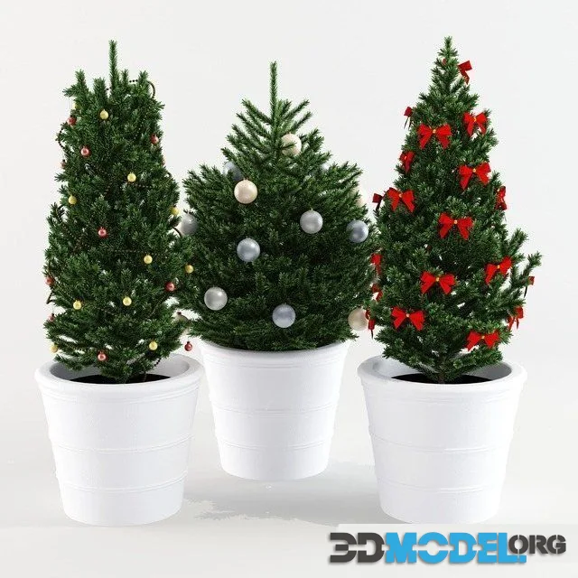 Three decorated Christmas trees